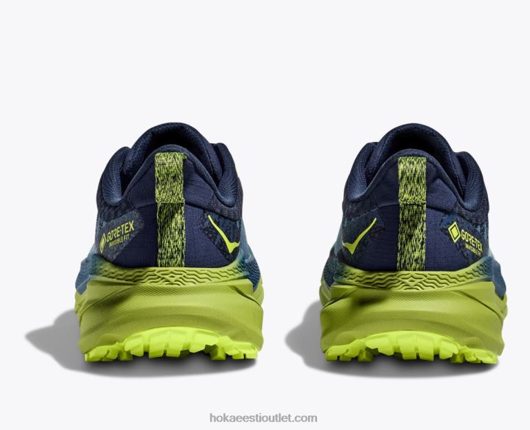 mehed Hoka challenger 7 gtx 6ZBF481 kosmos / tume sidrun