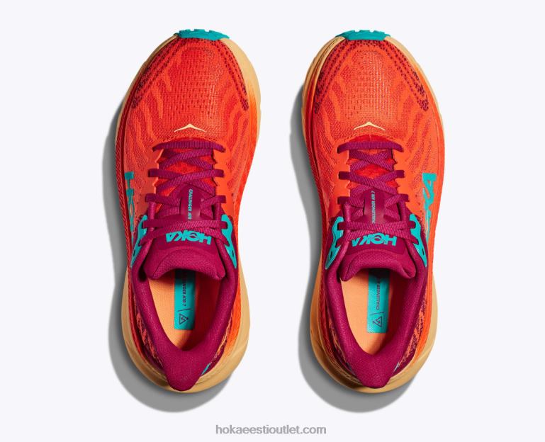 naised Hoka väljakutsuja 7 6ZBF256 uduroheline/võre